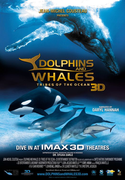 Delfiny i wieloryby 3D. Plemiona oceanów