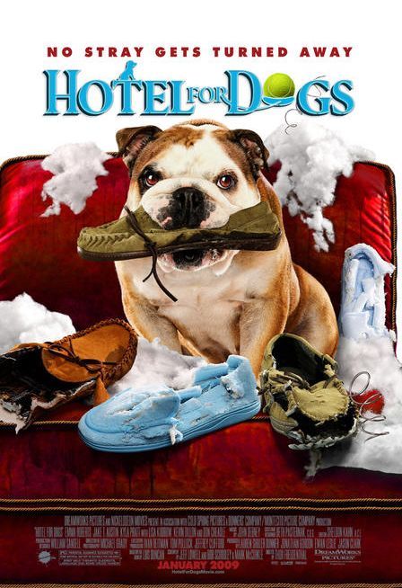 Hotel dla psów